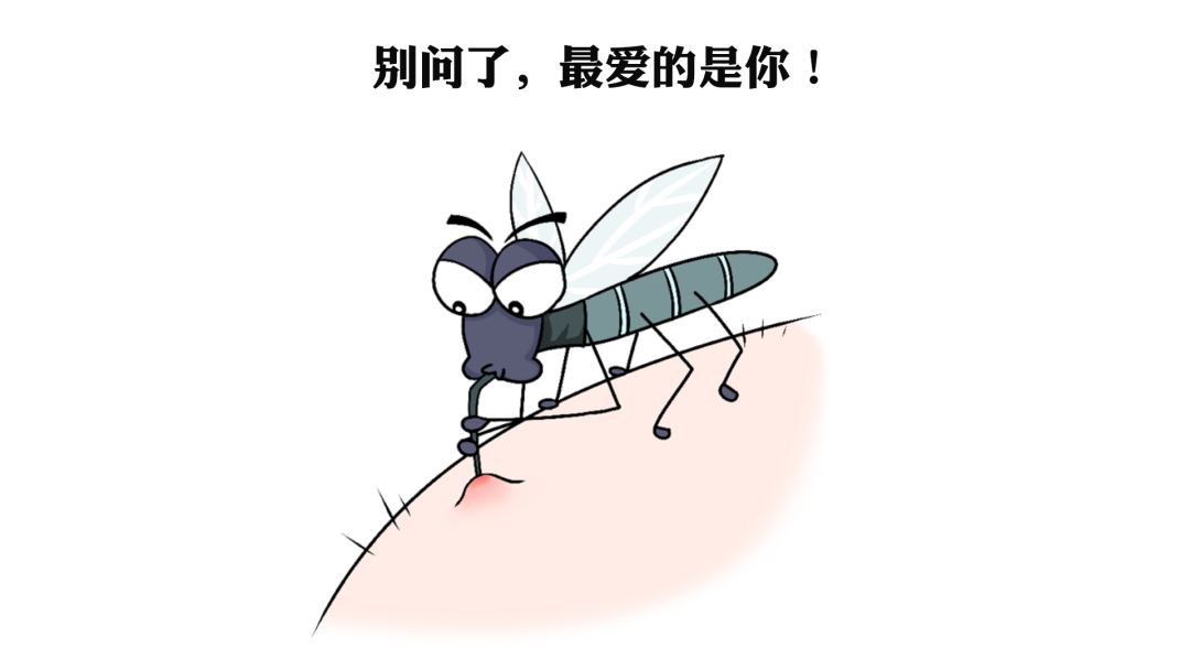 血型蚊子_惹蚊子的血型_什么血型招蚊子