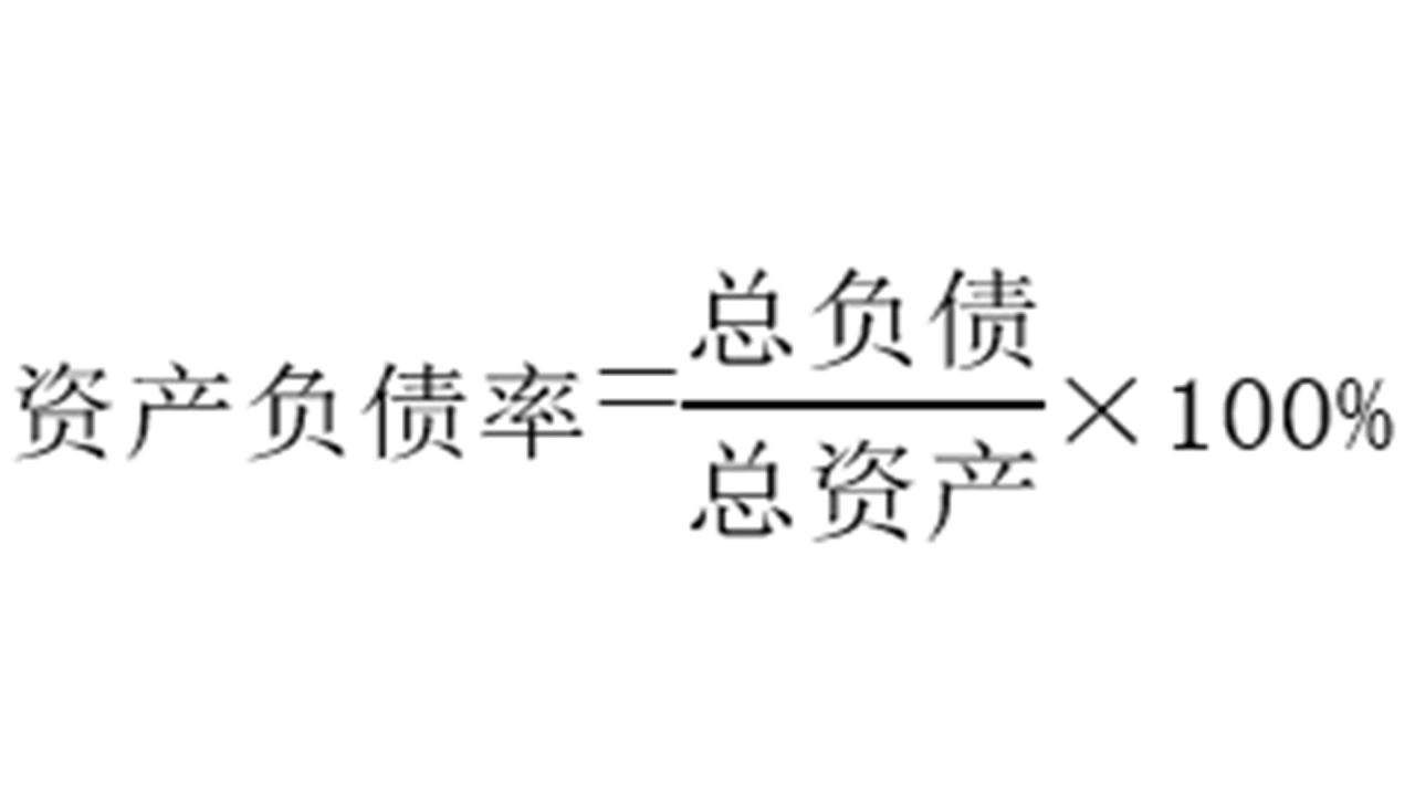 总资产收益率_资产支持票据和项目收益_资产组合的收益与风险