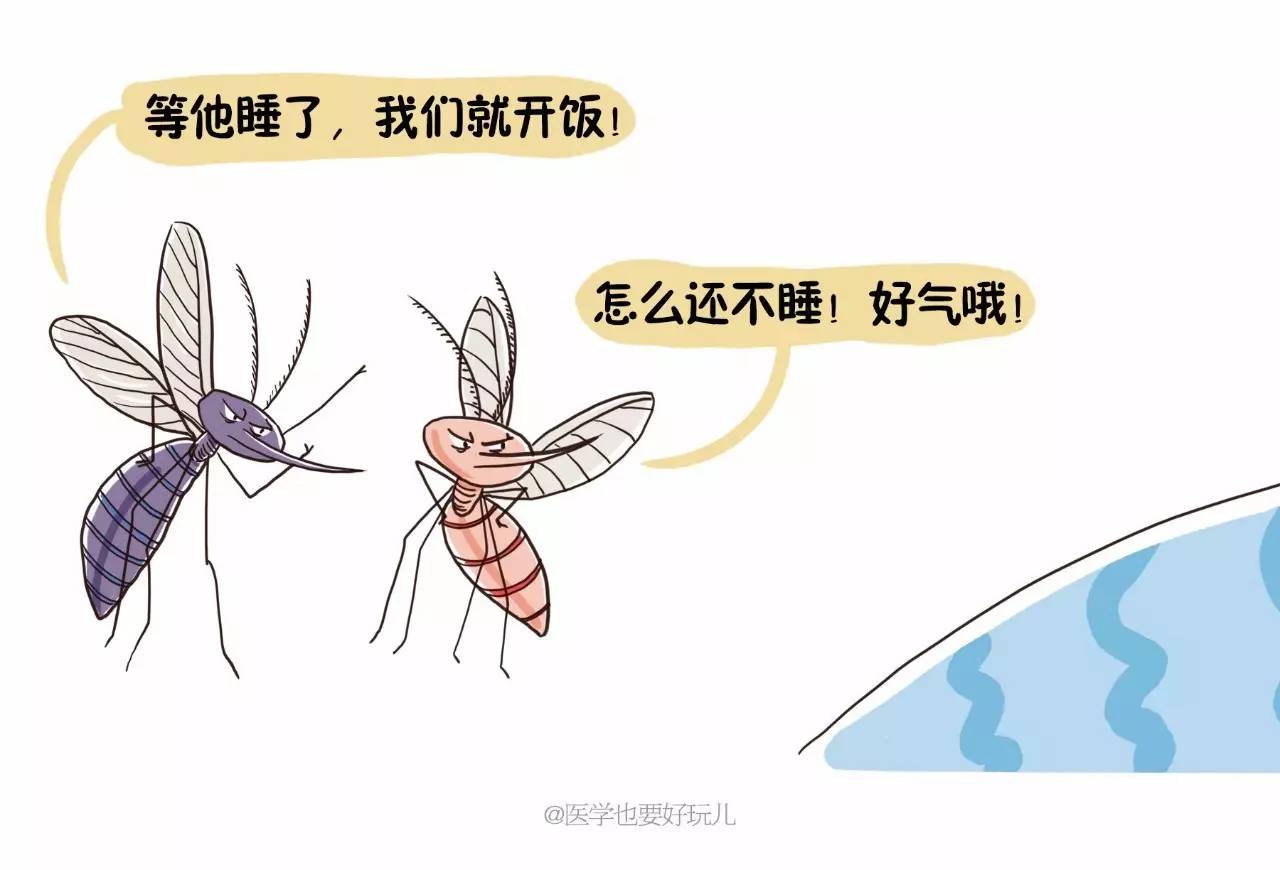 吸引蚊子的血型_什么血型招蚊子_蚊子 血型