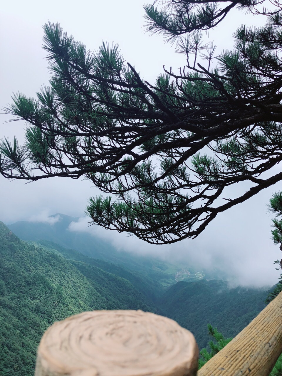 薛丁山征西武功排名_薛丁山武功排行_武功山在哪里哪个省