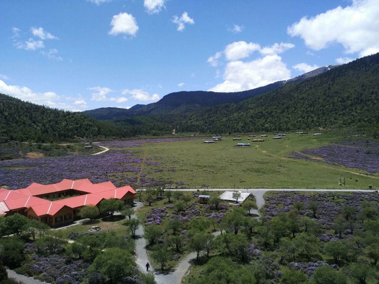 云南旅游必去的景点_去分宜旅游有什么景点_去荷兰旅游哪些景点