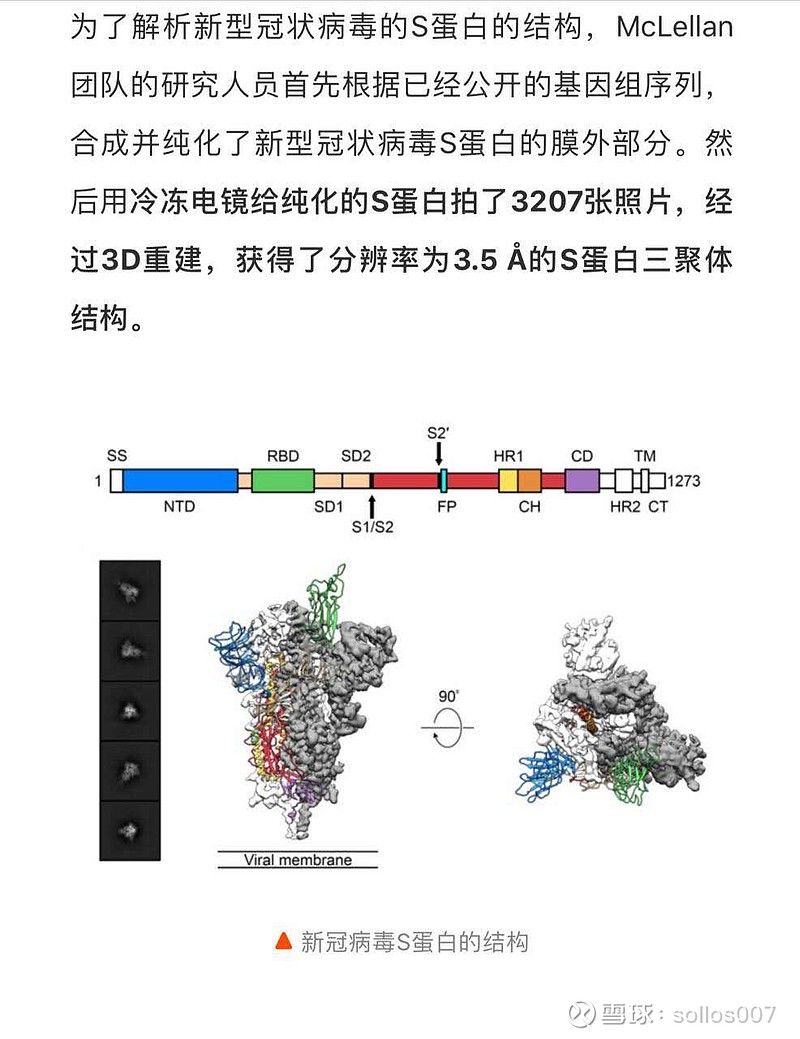 病毒攻击tv版_病毒攻击细菌_病毒攻击