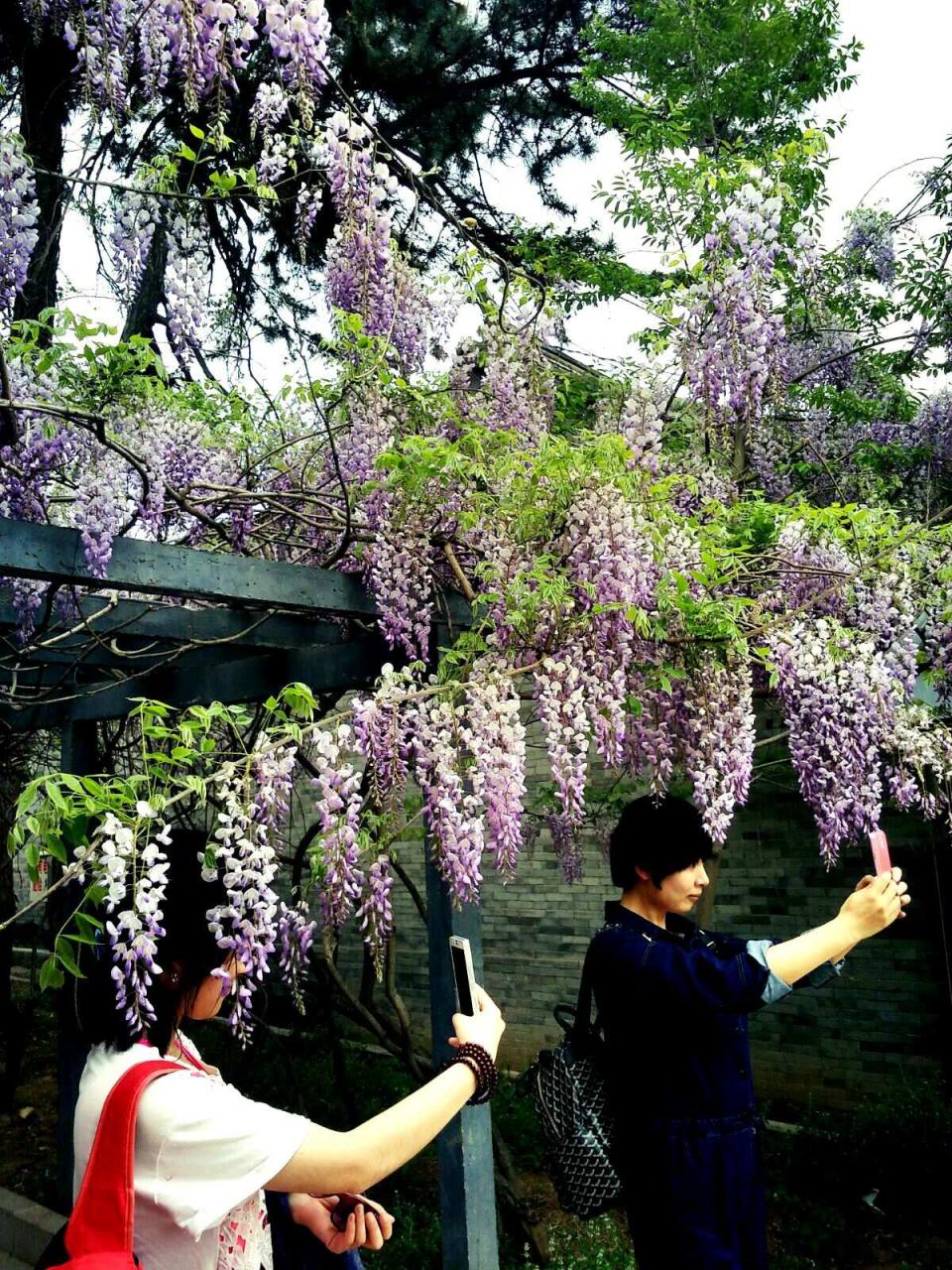 殊像寺文殊菩萨像_铁像寺水街_一像铅笔细又长二像小鸭水中游