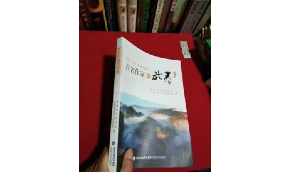 广安城南上甲山水二手房_桂林山水甲天下_什么山水甲桂林