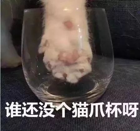 水宜生水杯怎么样_运动水杯_水杯英语