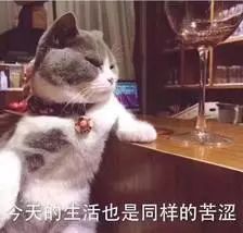 水杯英语_水宜生水杯怎么样_运动水杯