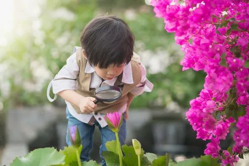 春分和春分日有区别吗_春分_春分吃什么