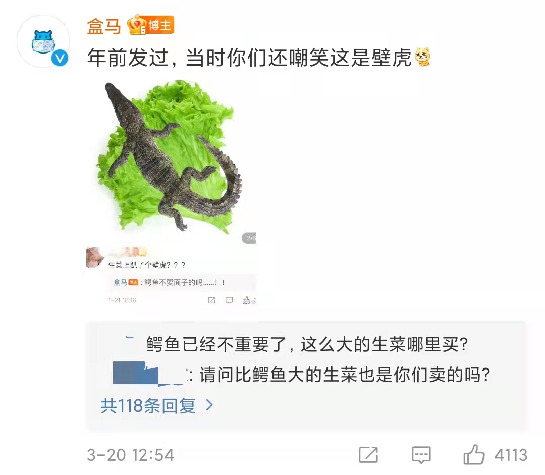 鳄鱼小鳄鱼_鳄鱼_鳄鱼法则里能代替鳄鱼的词