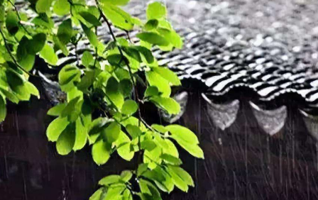 梅雨歌_梅雨潭中踞字体现出梅雨亭的什么_梅雨季节