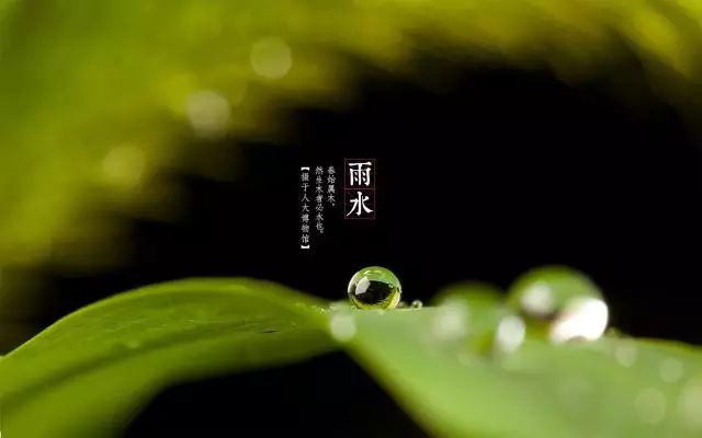 猎人晗雨时节_好雨知时节_干旱时节 雨遂人愿是什么雨