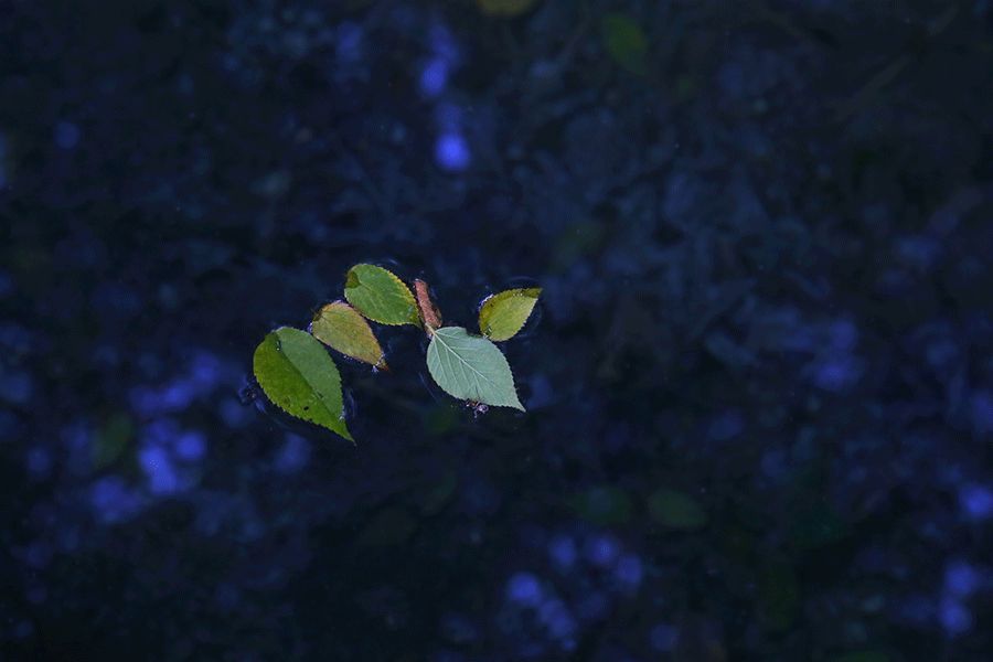 处暑养生6原则_处暑_处暑后雨水这多吗?处暑代表什么