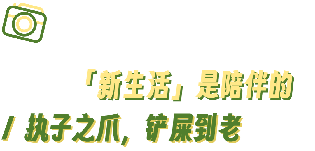 酷狗音乐酷狗音乐酷狗音乐_汽狗枪气弹狗货到付款_狗