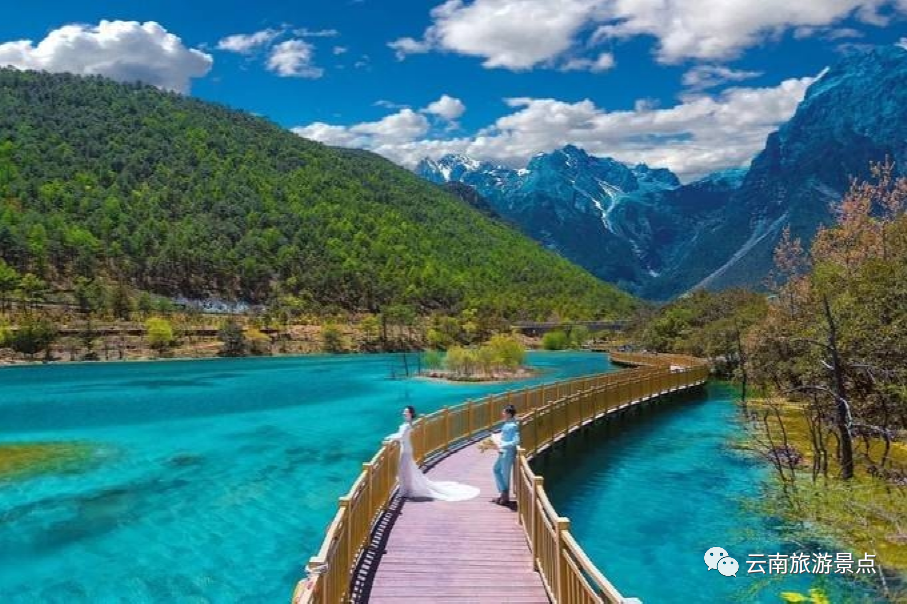 去荷兰旅游哪些景点_云南旅游必去的景点_去分宜旅游有什么景点