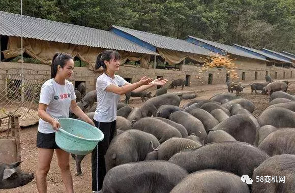 偏门赚钱_阿太捞偏门赚钱骗局_偏门赚钱