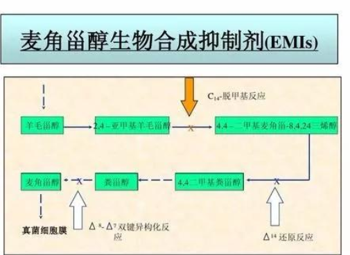 丙环唑_丙环唑多久用一次_啶氧.丙环唑的作用