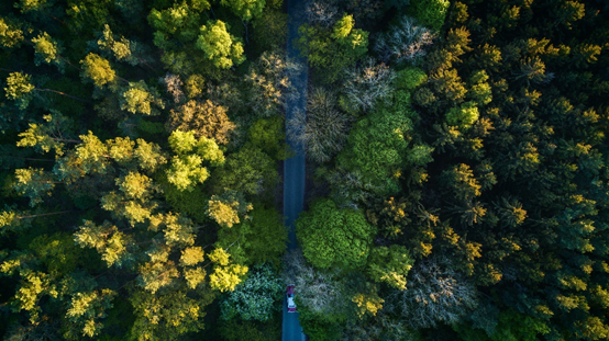 地板精油_精装修地板施工质量_贵安新天地 精装修 地板 玻化 墙纸