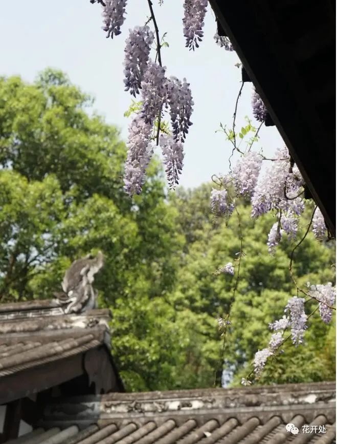 殊像寺文殊菩萨像_铁像寺水街_一像铅笔细又长二像小鸭水中游