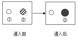 铜与浓硫酸的反应_铜和浓硫酸反应化学方程_硫酸四氨合铜与酸反应