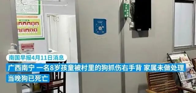 小孩被猫抓伤怎么办_打过狂犬育苗的猫抓伤_猫抓伤狂犬病几乎为0