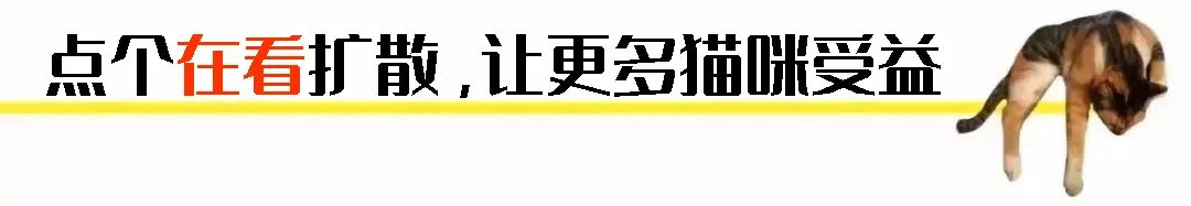 小孩被猫抓伤怎么办_猫抓伤狂犬病几乎为0_打过狂犬育苗的猫抓伤