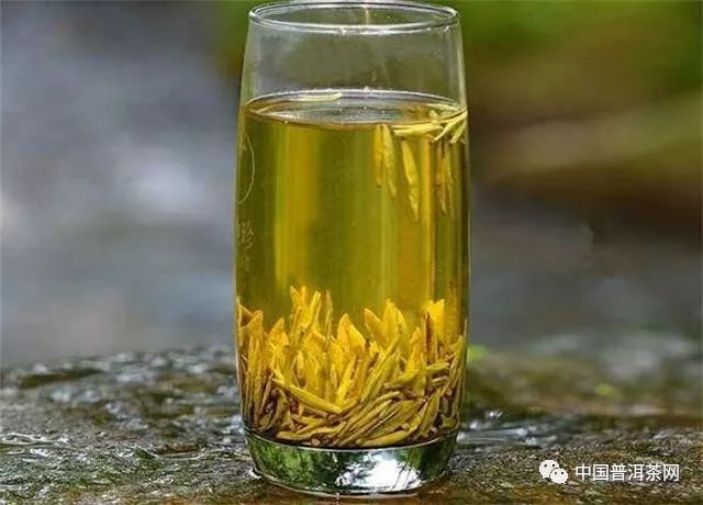 黄茶_从漳浦站到天福茶博物院 黄仓到盘陀_美思康宸 溪黄薏湿茶 祛湿茶