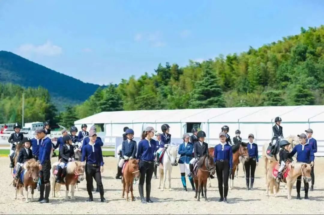 寻宝网完美国际站_寻宝天行网完美国际站_完美国际龙宫寻宝