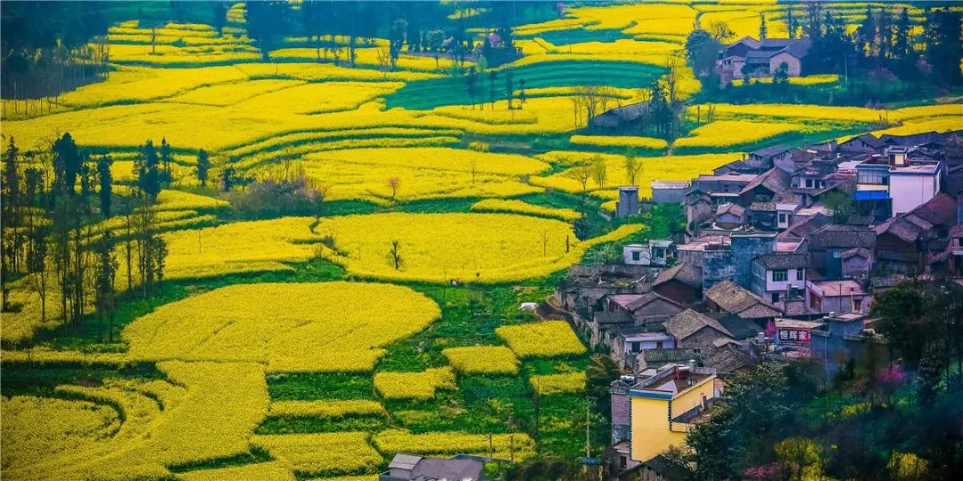 云南旅游必去的景点_去韶山旅游有几个景点_去南宁旅游一般都是那些景点