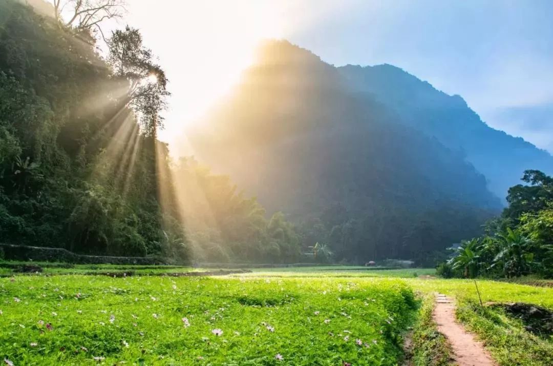 云南旅游必去的景点_去韶山旅游有几个景点_去南宁旅游一般都是那些景点