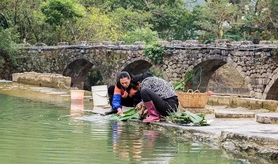 电压锅煮粽子要煮多久_粽子怎么煮_蒸粽子还是煮粽子