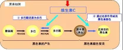 熊果苷_宠爱之名熊果素肌因美白精华膜_我的美丽日记熊果素面膜怎么样