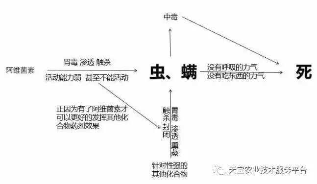 酒石酸泰乐菌素 酒石酸乙酰异戊酰泰乐菌素_阿维吡虫啉_阿维菌素