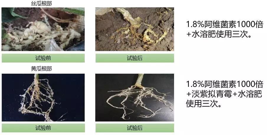 泰万菌素是泰拉菌素吗_泰乐菌素泰妙菌素_阿维菌素