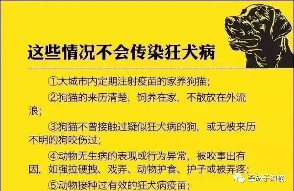 猫抓伤狂犬病几乎为0_抓伤琦玉的猫_被狗狗抓伤需要打狂犬针吗