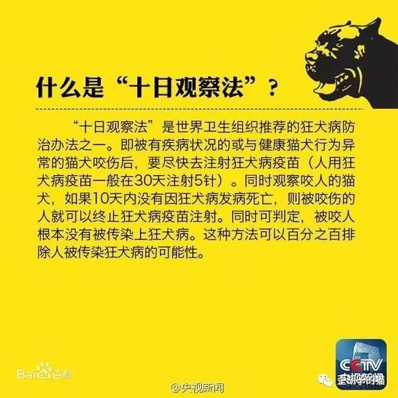 被狗狗抓伤需要打狂犬针吗_猫抓伤狂犬病几乎为0_抓伤琦玉的猫