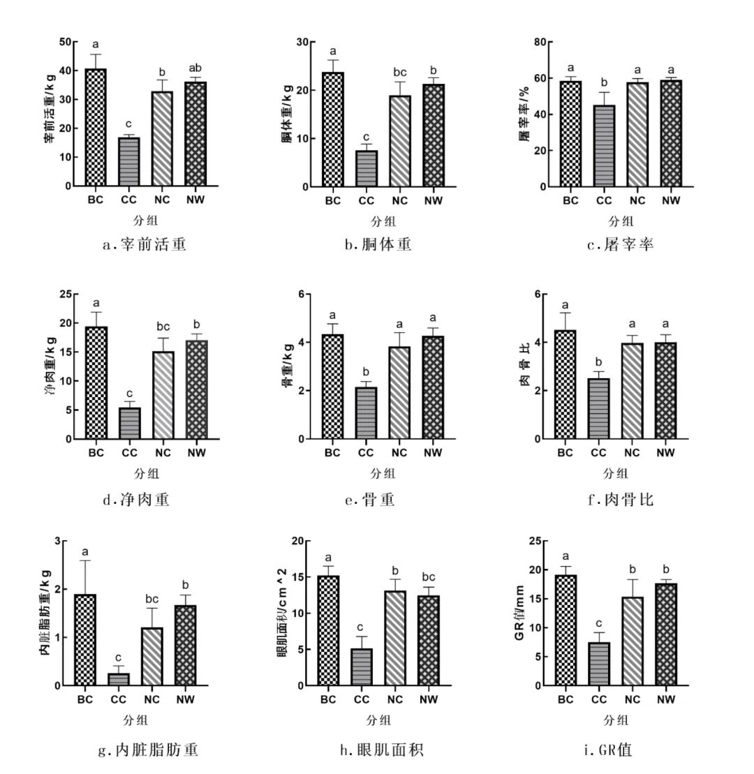 美国篮球山羊视频_美国街球山羊扣篮视频_美国白山羊