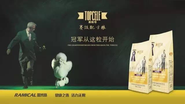 宠物兔子品种图片大全_宠物狗品种图片大全_宠物蛇品种图片大全