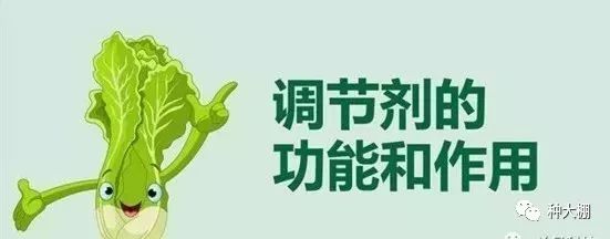 植物激素_植物源昆虫激素_盐胁迫下,植物内源激素