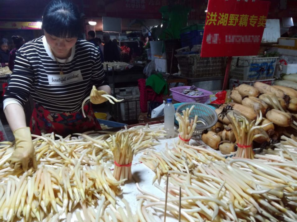 藕带宝贝卖点怎么写_泡藕带炒鸡胗_藕带