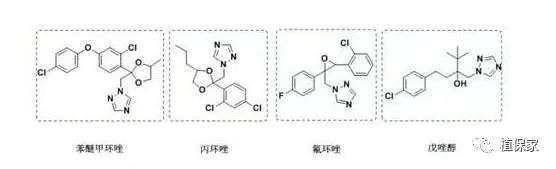 丙环唑多久用一次_啶氧.丙环唑的作用_丙环唑