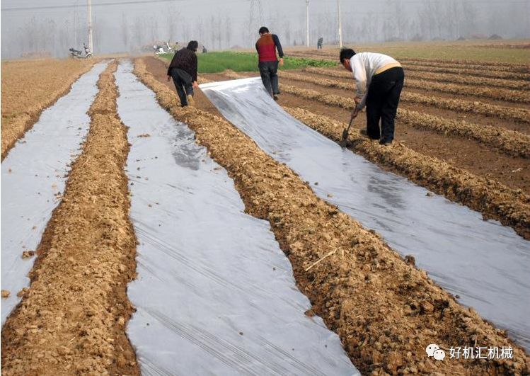 米多农膜_农膜_塑料薄膜大棚农膜