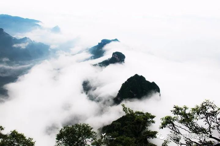 张家界玩几天合适_张家界要几天合适_张家界6月合适旅游吗