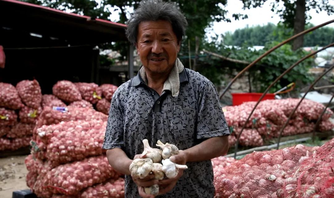 糖醋咸蒜的腌制方法_咸蒜的腌制方法_咸蒜的腌制方法视频