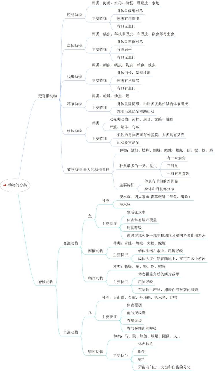 海马风情是香港海马吗_彩虹鱼和大鲸鱼文字_海马和鲸鱼哪个是真正的鱼