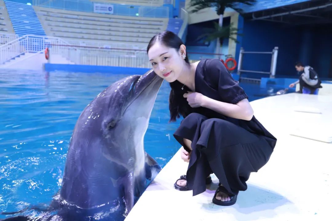 海马煌子寝具是真的海马床垫_海马和鲸鱼哪个是真正的鱼_鲸鱼与青鱂鱼