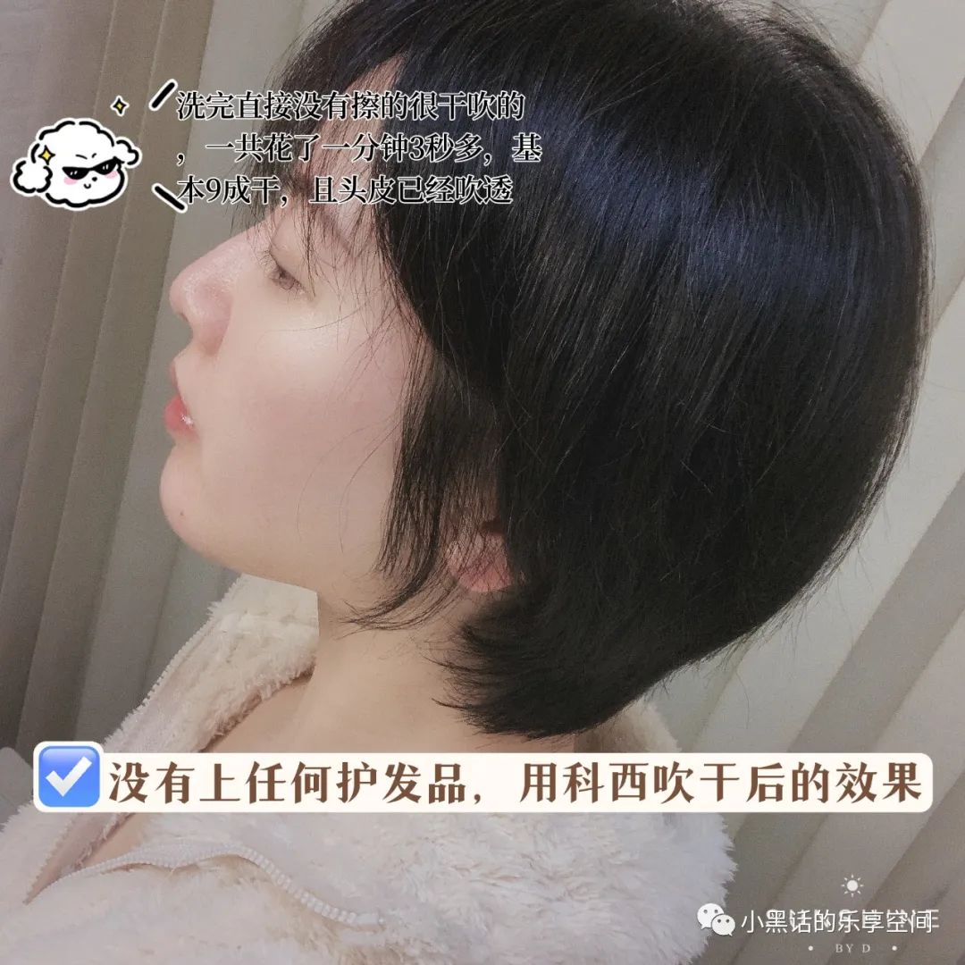 吹风机什么牌子的好_玉雕机牙机什么牌子好_辅食机破壁机搅拌棒哪个牌子好