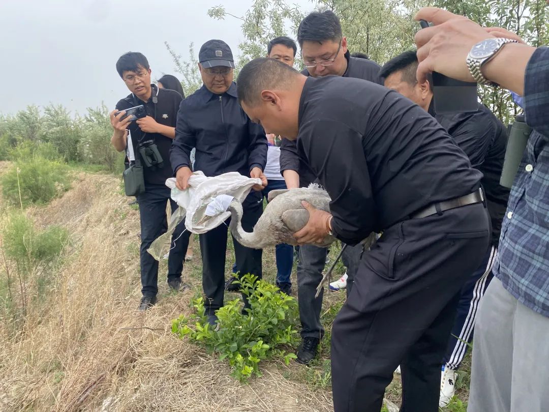 衡水湖简介_菱角湖万达湖锦酒楼简介_衡水闾里古镇简介