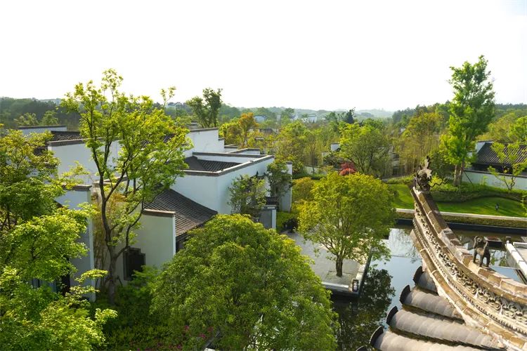 黄山住宿预订_黄山汤口住宿_黄山住宿