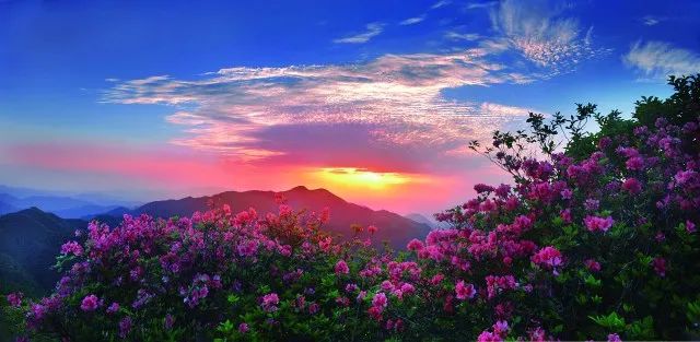 黄山住宿预订_黄山住宿_黄山汤口住宿