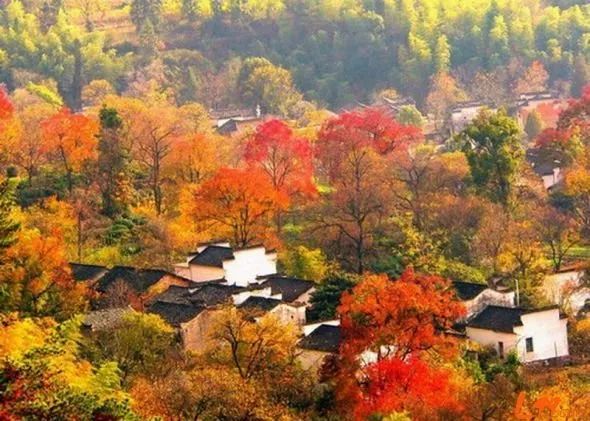 黄山住宿预订_黄山汤口住宿_黄山住宿