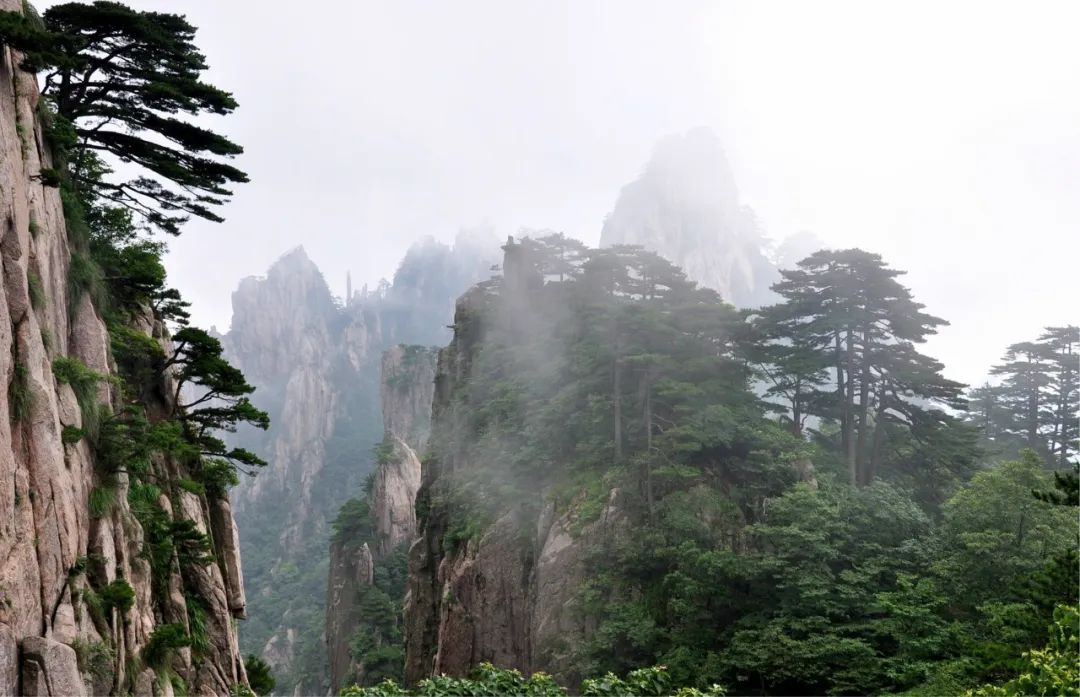 黄山门票优惠政策_黄山门票多少_黄山门票多少